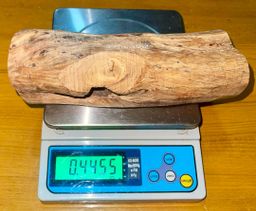 Shwe Sandalwood_ဩစတေးလျ တောင်နံကတိုး