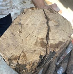 Shwe Sandalwood_ကရမက်