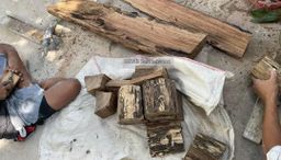 Shwe Sandalwood_ကရမက်