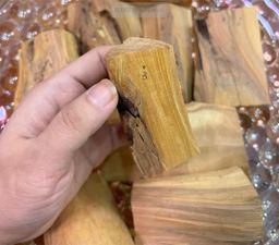 Shwe Sandalwood_ဩစတေးလျ တောင်နံကတိုး