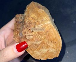 Shwe Sandalwood_ဩစတေးလျ တောင်နံကတိုး