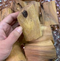 Shwe Sandalwood_ဩစတေးလျ တောင်နံကတိုး