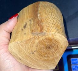 Shwe Sandalwood_ဩစတေးလျ တောင်နံကတိုး