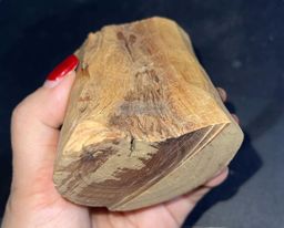 Shwe Sandalwood_ဩစတေးလျ တောင်နံကတိုး