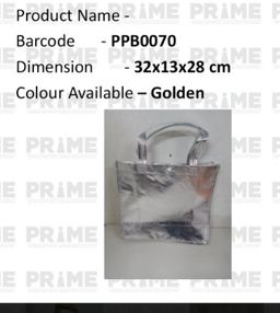 Bag Non Woven Carry Bag With Handle 11X12 in Silver