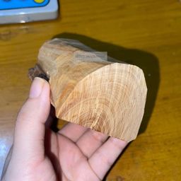 Shwe Sandalwood_ဩစတေးလျ တောင်နံကတိုး