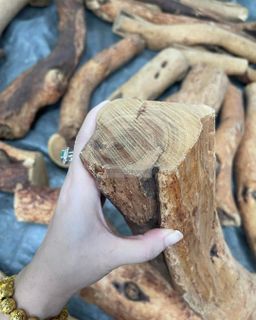 Shwe Sandalwood_ဩစတေးလျ တောင်နံကတိုး