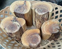 Shwe Sandalwood_ဩစတေးလျ တောင်နံကတိုး