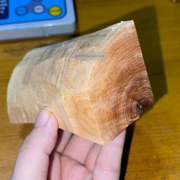 Shwe Sandalwood_ဩစတေးလျ တောင်နံကတိုး