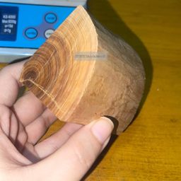 Shwe Sandalwood_ဩစတေးလျ တောင်နံကတိုး