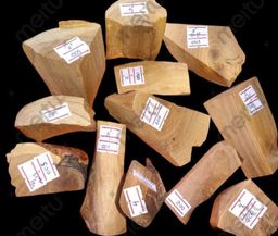 Shwe Sandalwood_ဩစတေးလျ တောင်နံကတိုး