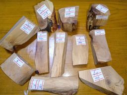 Shwe Sandalwood_ဩစတေးလျ တောင်နံကတိုး