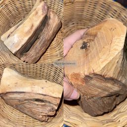 Shwe Sandalwood_ဩစတေးလျ တောင်နံကတိုး