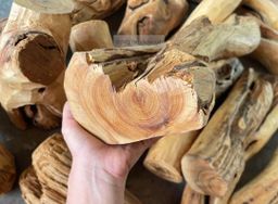 Shwe Sandalwood_ဩစတေးလျ တောင်နံကတိုး