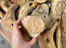 Shwe Sandalwood_ဩစတေးလျ တောင်နံကတိုး