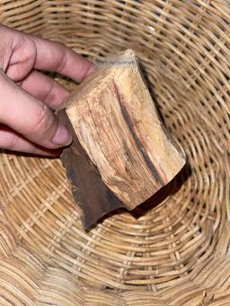 Shwe Sandalwood_ဩစတေးလျ တောင်နံကတိုး