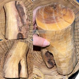 Shwe Sandalwood_ဩစတေးလျ တောင်နံကတိုး