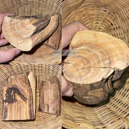 Shwe Sandalwood_ဩစတေးလျ တောင်နံကတိုး