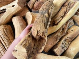 Shwe Sandalwood_ဩစတေးလျ တောင်နံကတိုး