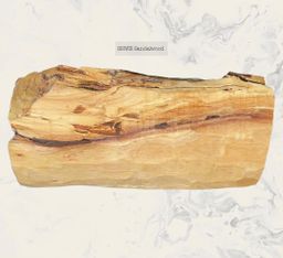 Shwe Sandalwood_ဩစတေးလျ တောင်နံကတိုး