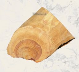 Shwe Sandalwood_ဩစတေးလျ တောင်နံကတိုး