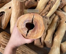 Shwe Sandalwood_ဩစတေးလျ တောင်နံကတိုး