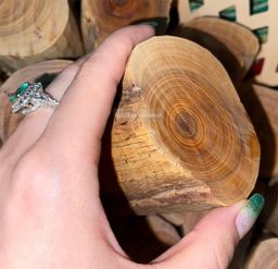 Shwe Sandalwood_ဩစတေးလျ တောင်နံကတိုး