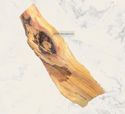 Shwe Sandalwood_ဩစတေးလျ တောင်နံကတိုး