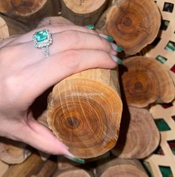 Shwe Sandalwood_ဩစတေးလျ တောင်နံကတိုး