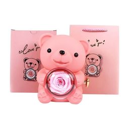 "🌹✨ Rose Teddy Bear with Dazzling Jewelry Gift Set 🎁"