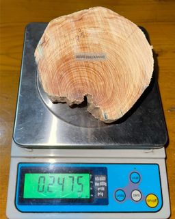 Shwe Sandalwood_ဩစတေးလျ တောင်နံကတိုး