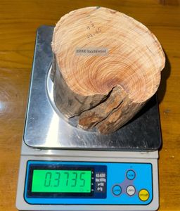 Shwe Sandalwood_ဩစတေးလျ တောင်နံကတိုး