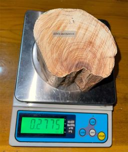 Shwe Sandalwood_ဩစတေးလျ တောင်နံကတိုး