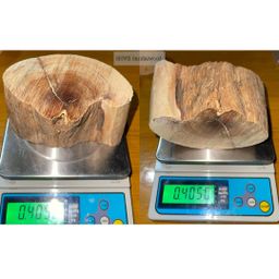 Shwe Sandalwood_ဩစတေးလျ တောင်နံကတိုး