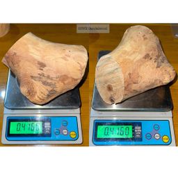 Shwe Sandalwood_ဩစတေးလျ တောင်နံကတိုး