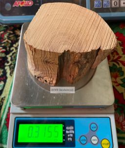 Shwe Sandalwood_ဩစတေးလျ တောင်နံကတိုး