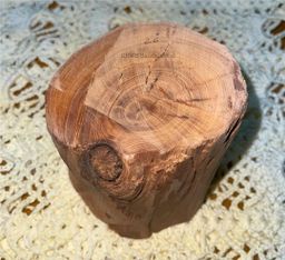 Shwe Sandalwood_ဩစတေးလျ တောင်နံကတိုး