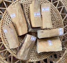 Shwe Sandalwood_ဩစတေးလျ တောင်နံကတိုး