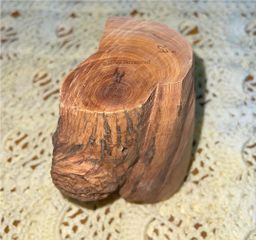 Shwe Sandalwood_ဩစတေးလျ တောင်နံကတိုး