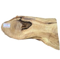 Shwe Sandalwood_ဩစတေးလျ တောင်နံကတိုး