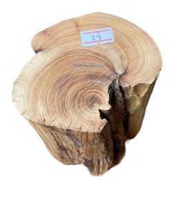 Shwe Sandalwood_ဩစတေးလျ တောင်နံကတိုး