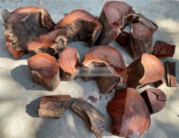 Shwe Sandalwood_အိန္ဒိယနံ့သာနီ 