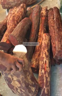 Shwe Sandalwood_အိန္ဒိယနံ့သာနီ 