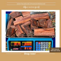Shwe Sandalwood_အိန္ဒိယနံ့သာနီ 