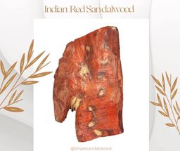 Shwe Sandalwood_အိန္ဒိယနံ့သာနီ 