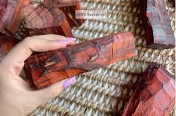 Shwe Sandalwood_အိန္ဒိယနံ့သာနီ 