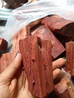 Shwe Sandalwood_အိန္ဒိယနံ့သာနီ 