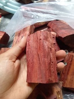 Shwe Sandalwood_အိန္ဒိယနံ့သာနီ 