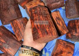Shwe Sandalwood_အိန္ဒိယနံ့သာနီ 