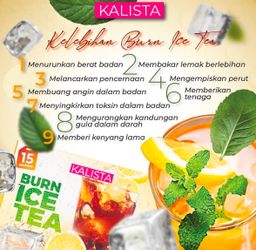 BURN ICE TEA (10 sachets)